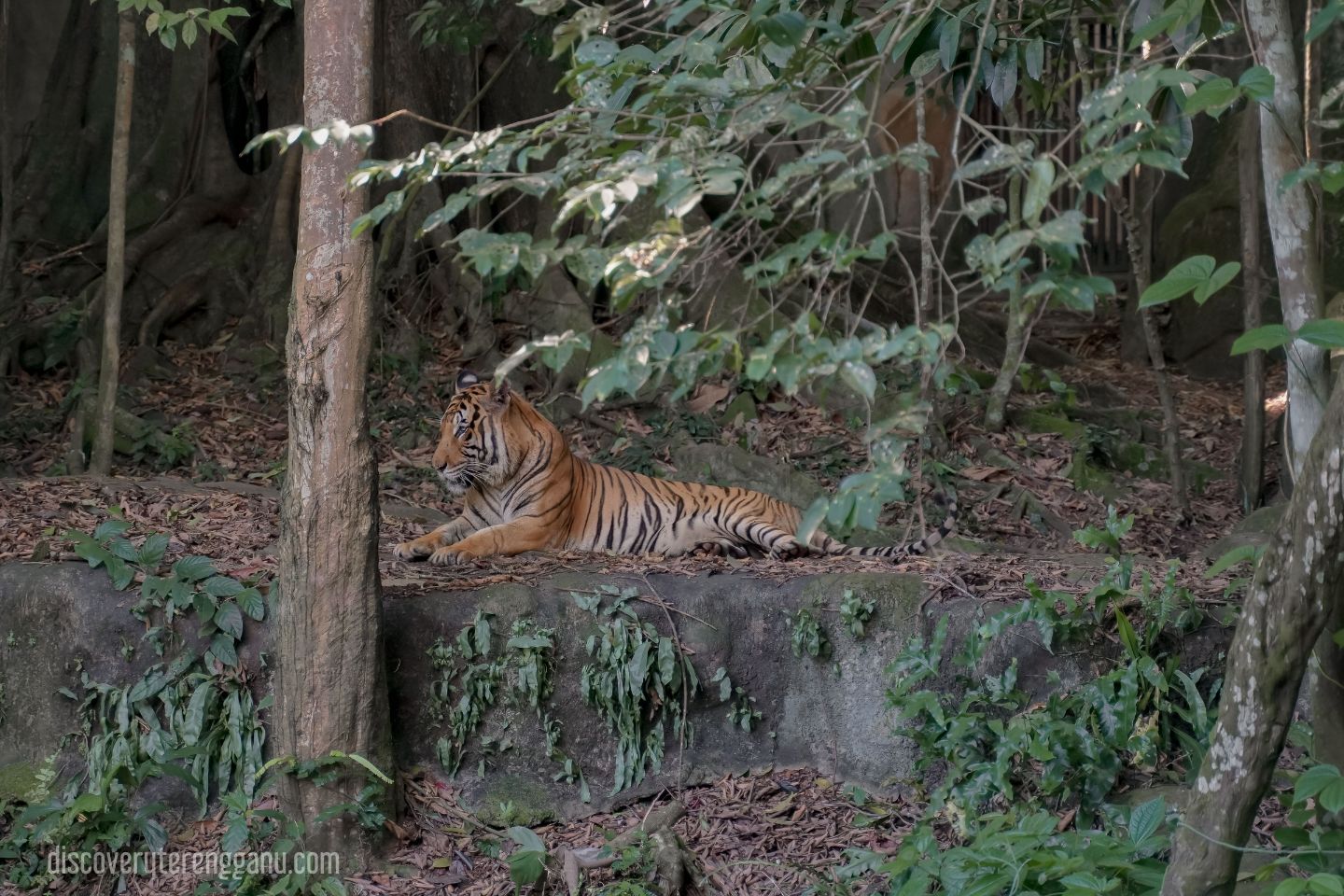 Taman Rekreasi & Zoo Kemaman (TRZK)