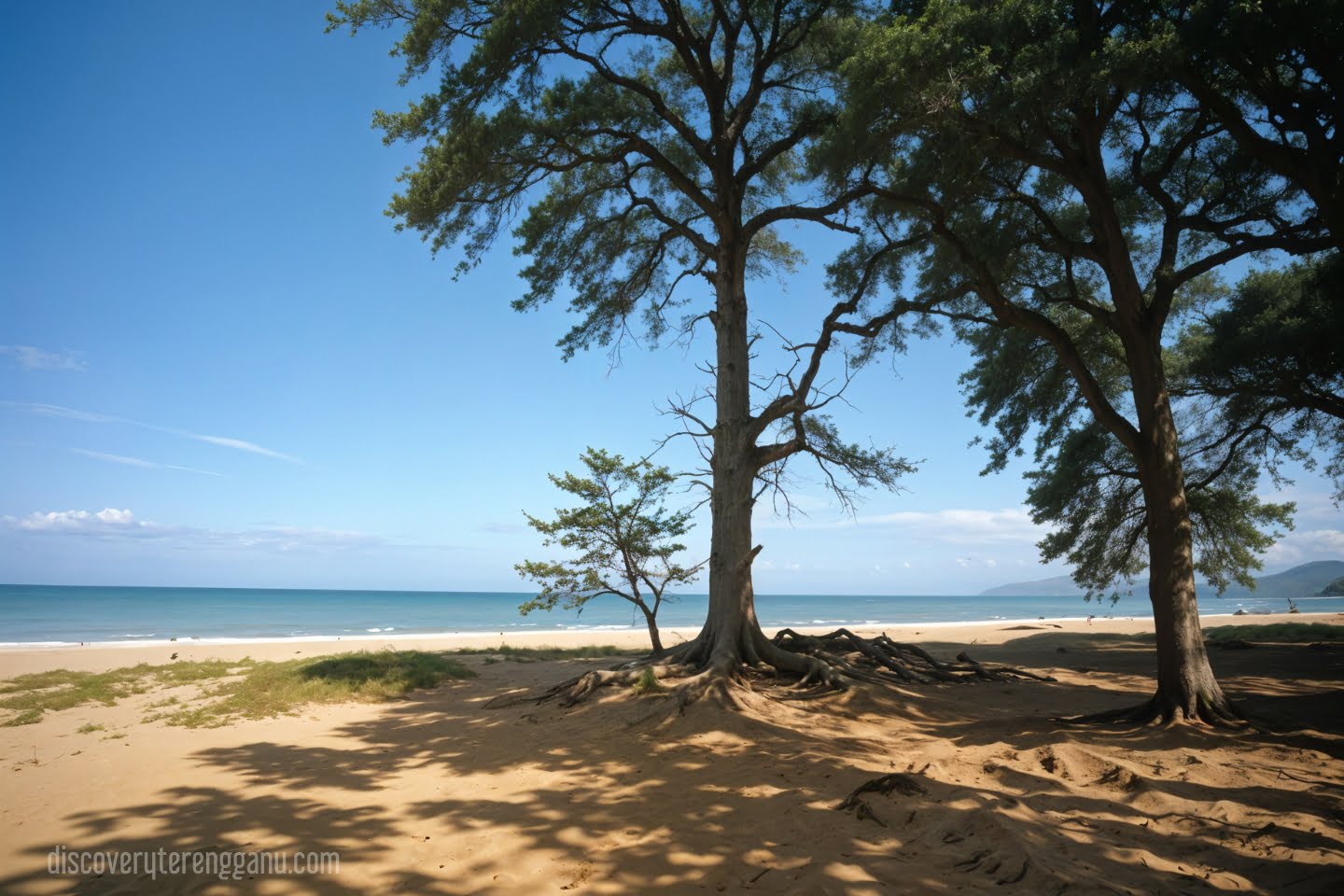 Pantai Teluk Ketapang