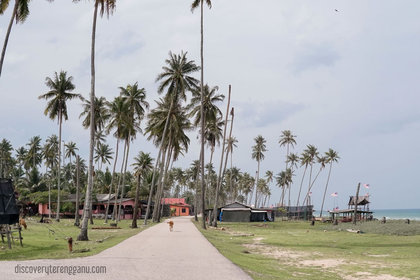 Kampung Jambu Bongkok