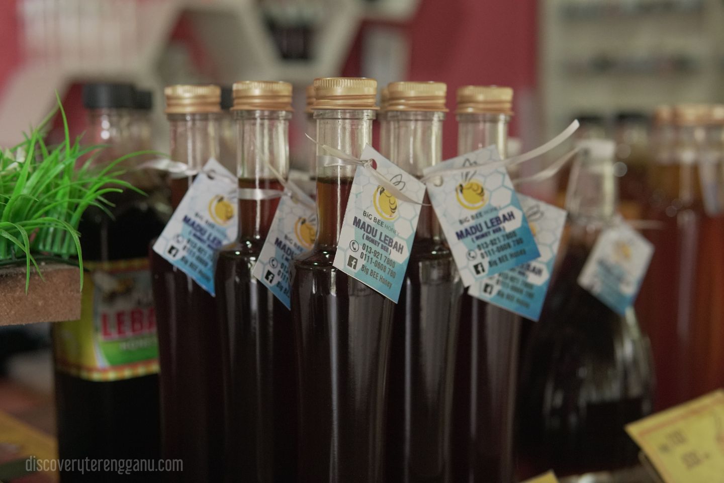 Galeri Madu Lebah (Big Bee Honey)