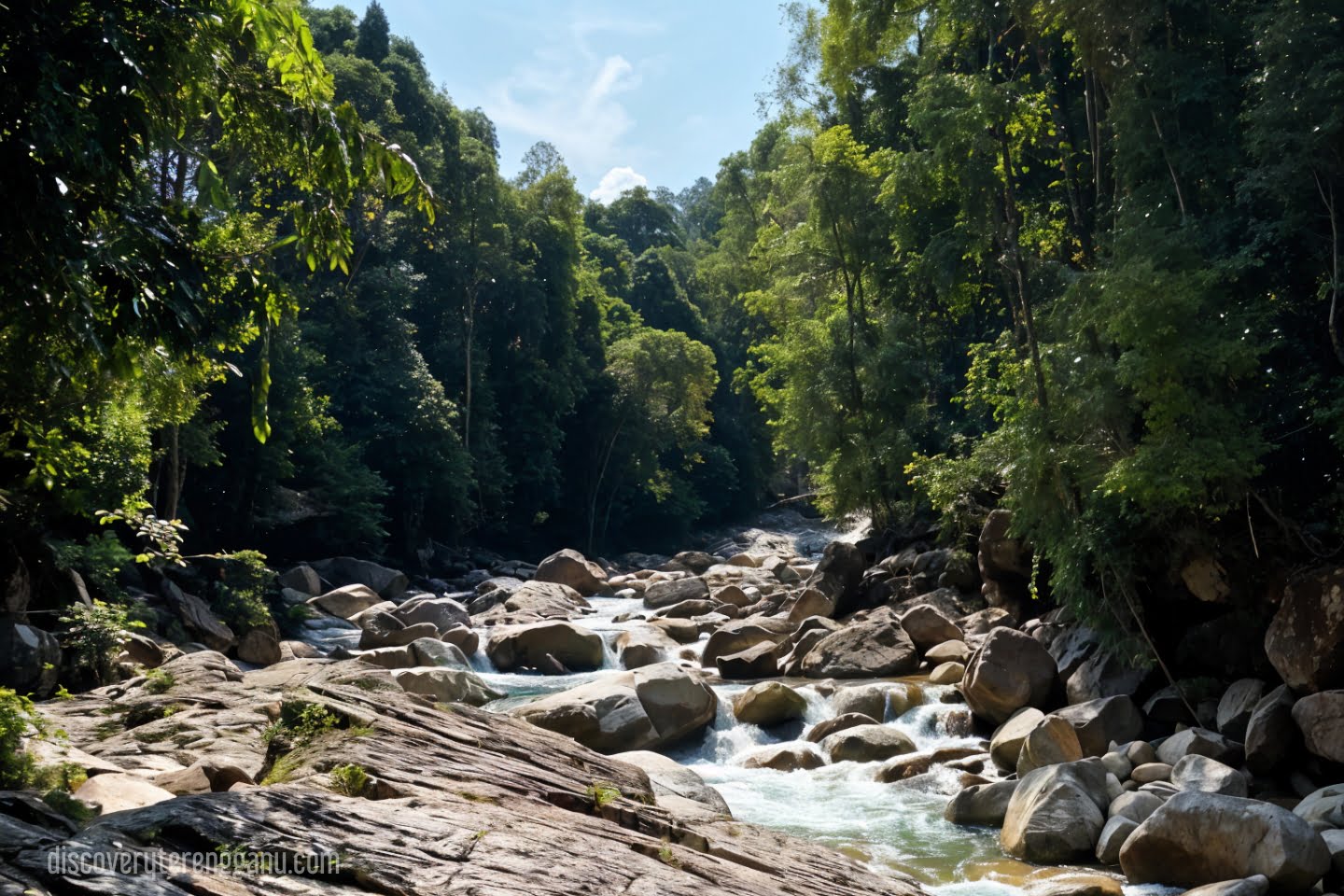 Lata Kolam Air Deru Ecopark