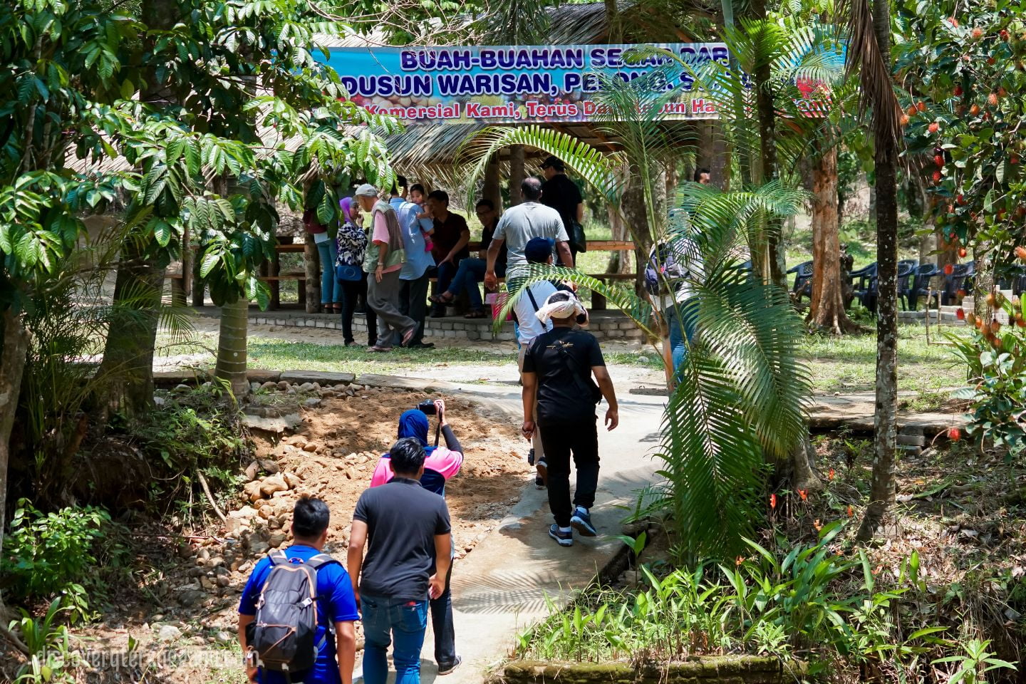 Buah-buahan di Dusun Warisan
