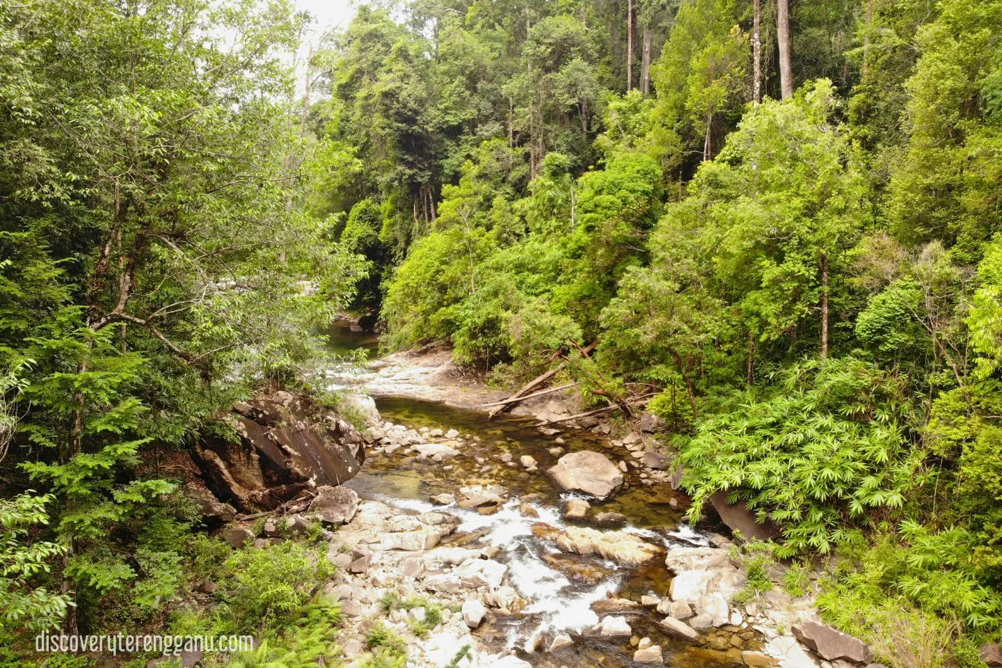 Taman Eko-Rimba Lata Tembakah
