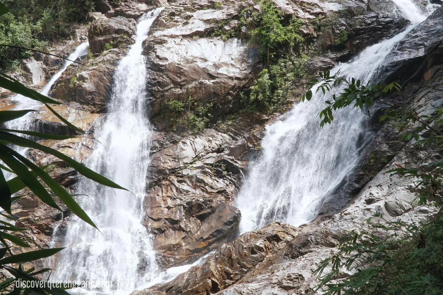 Taman Eko-Rimba Lata Tembakah
