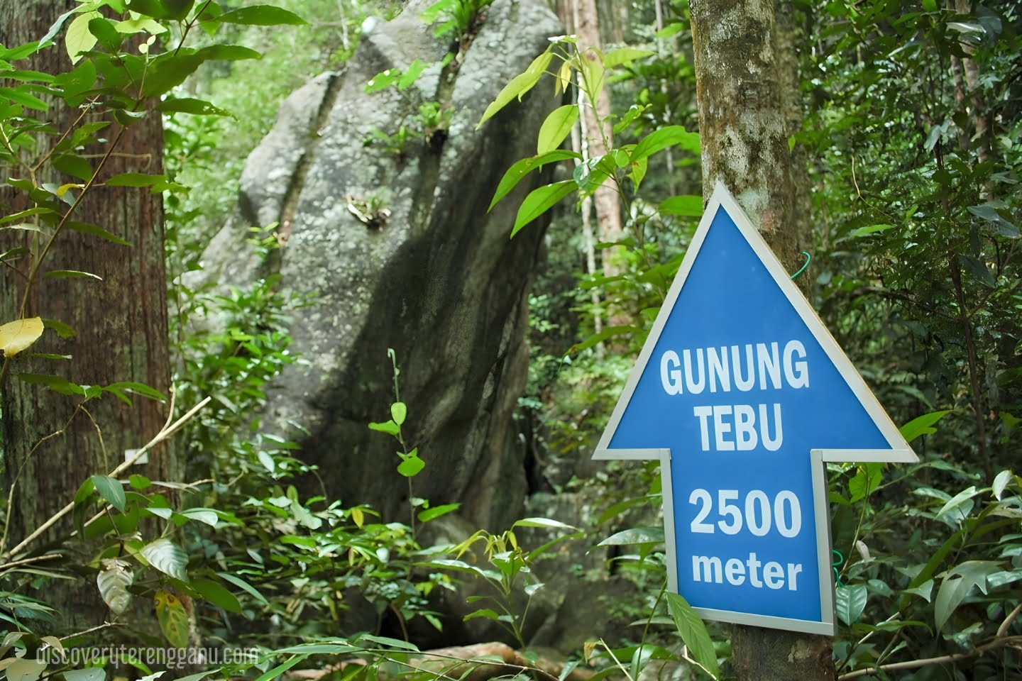Gunung Tebu