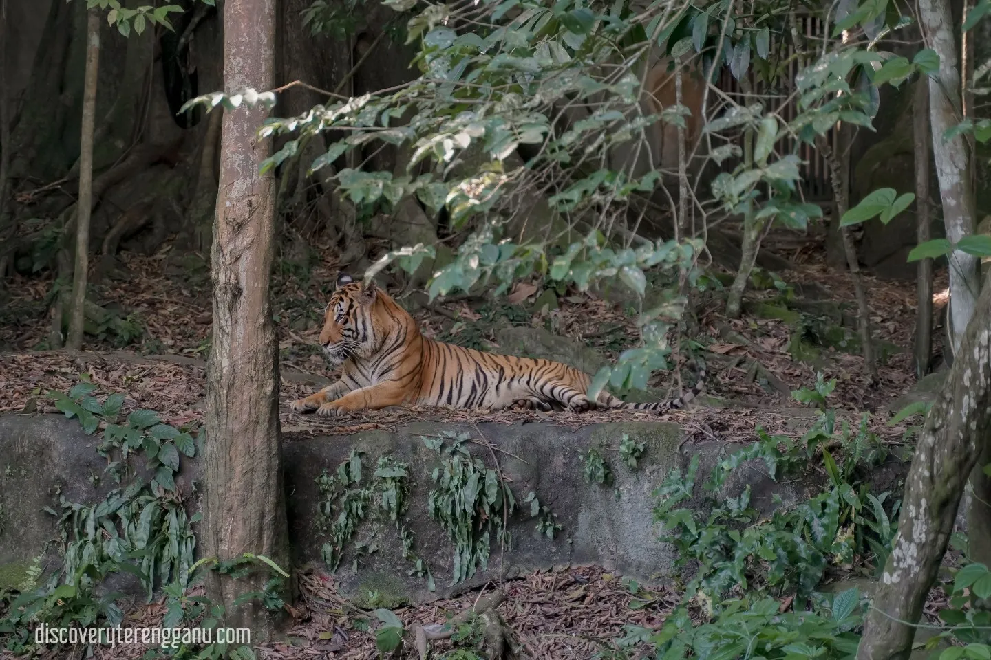 Taman Rekreasi & Zoo Kemaman (TRZK)