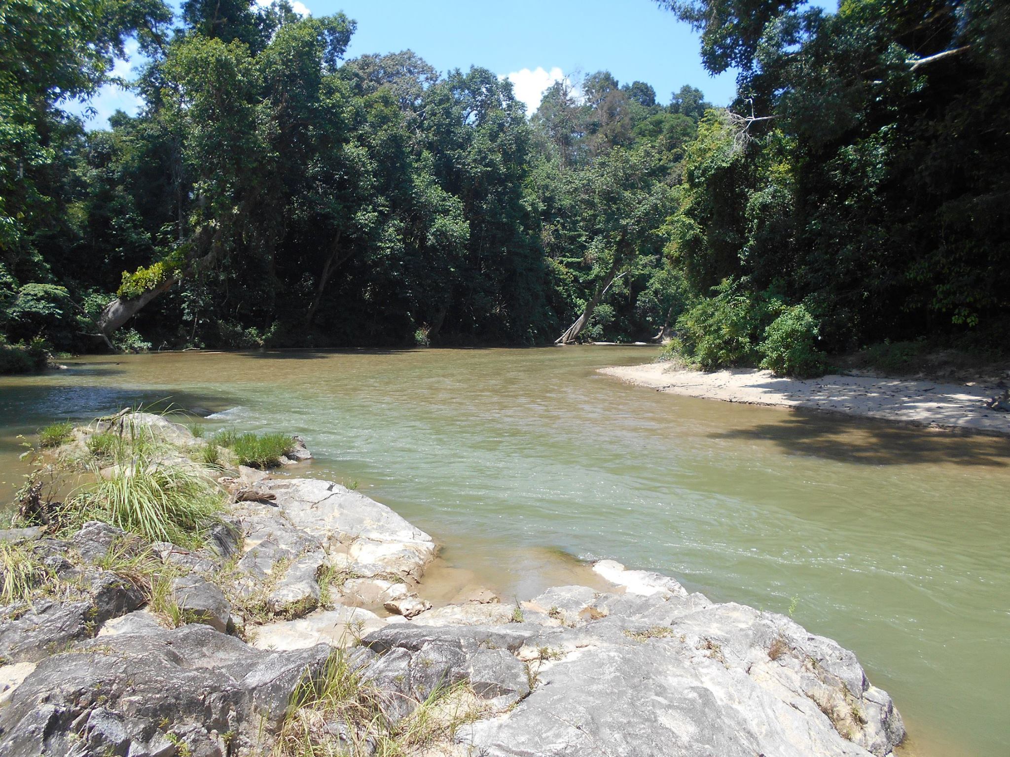 Hutan Lipur Bumbung Raja