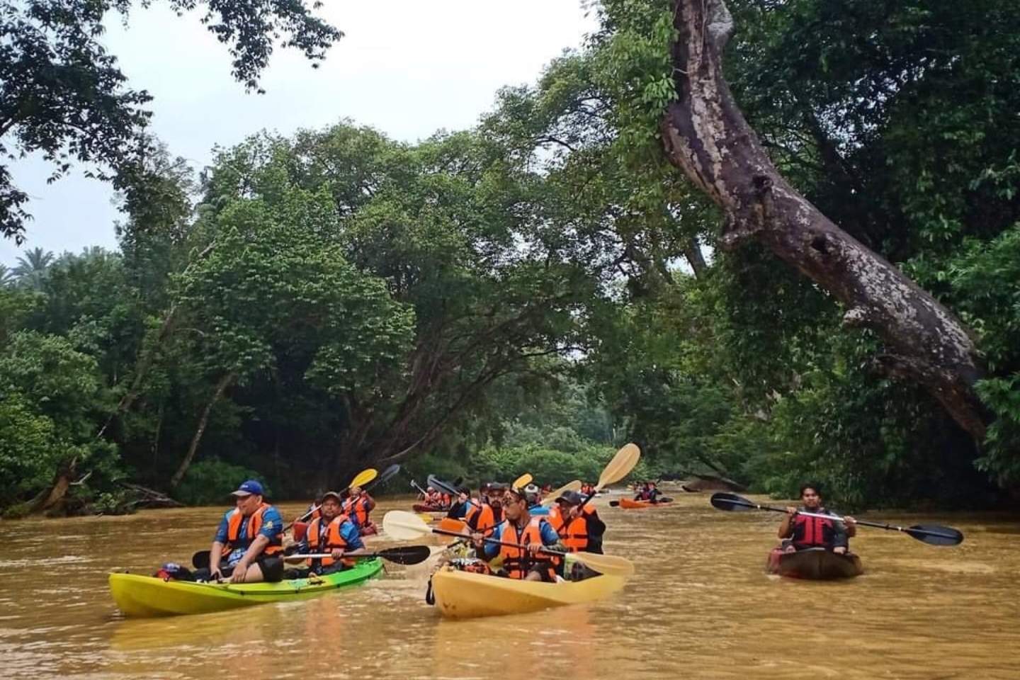 Kayak di Little Amazon