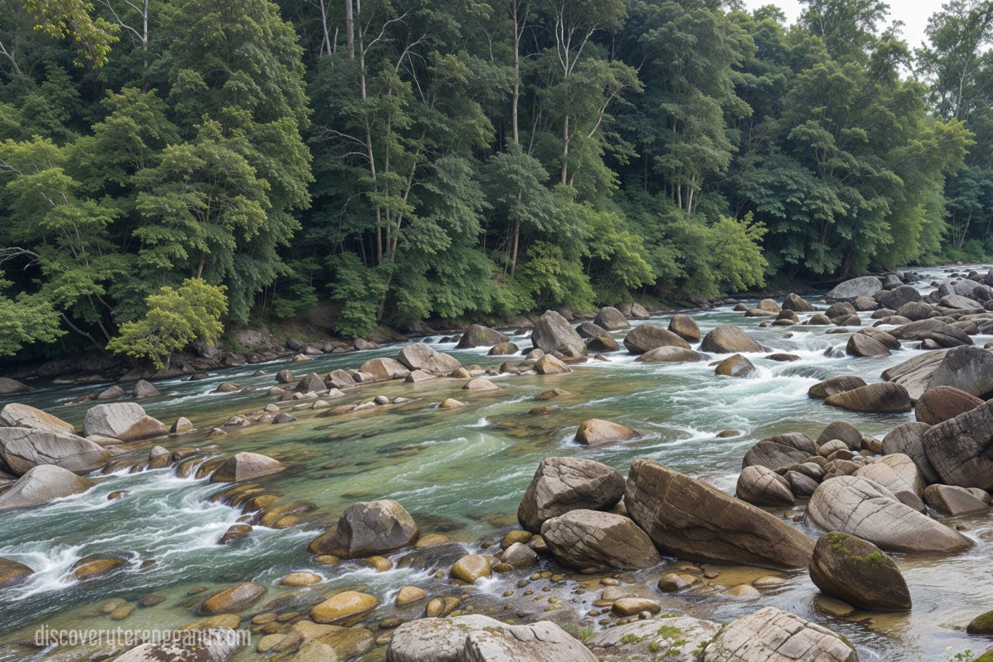 Lata Payung