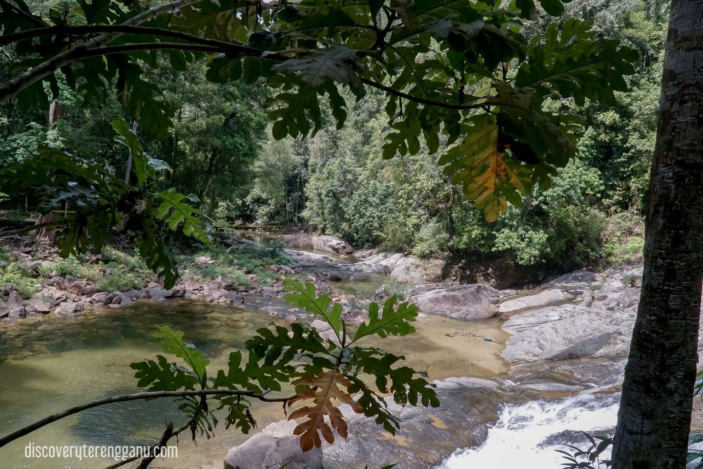 Taman Eko-Rimba Lata Tembakah