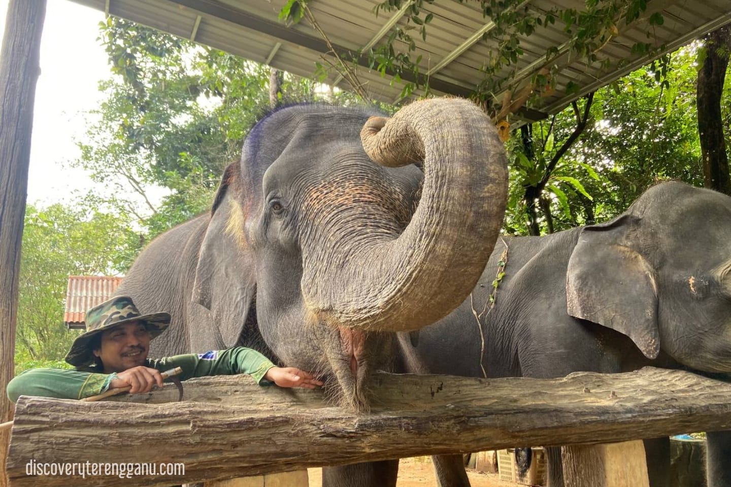 Perkampungan Konservasi Gajah Kenyir (KECV)