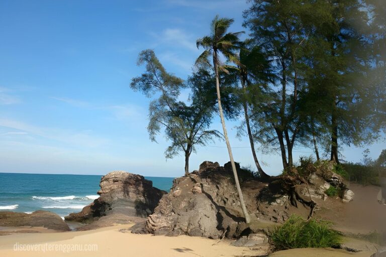 Pantai berpasir dengan batuan besar, pokok rhu dan sebatang pokok kelapa di pesisir Rantau Abang