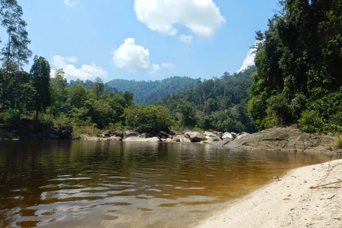 Sungai Berang, Little Amazon