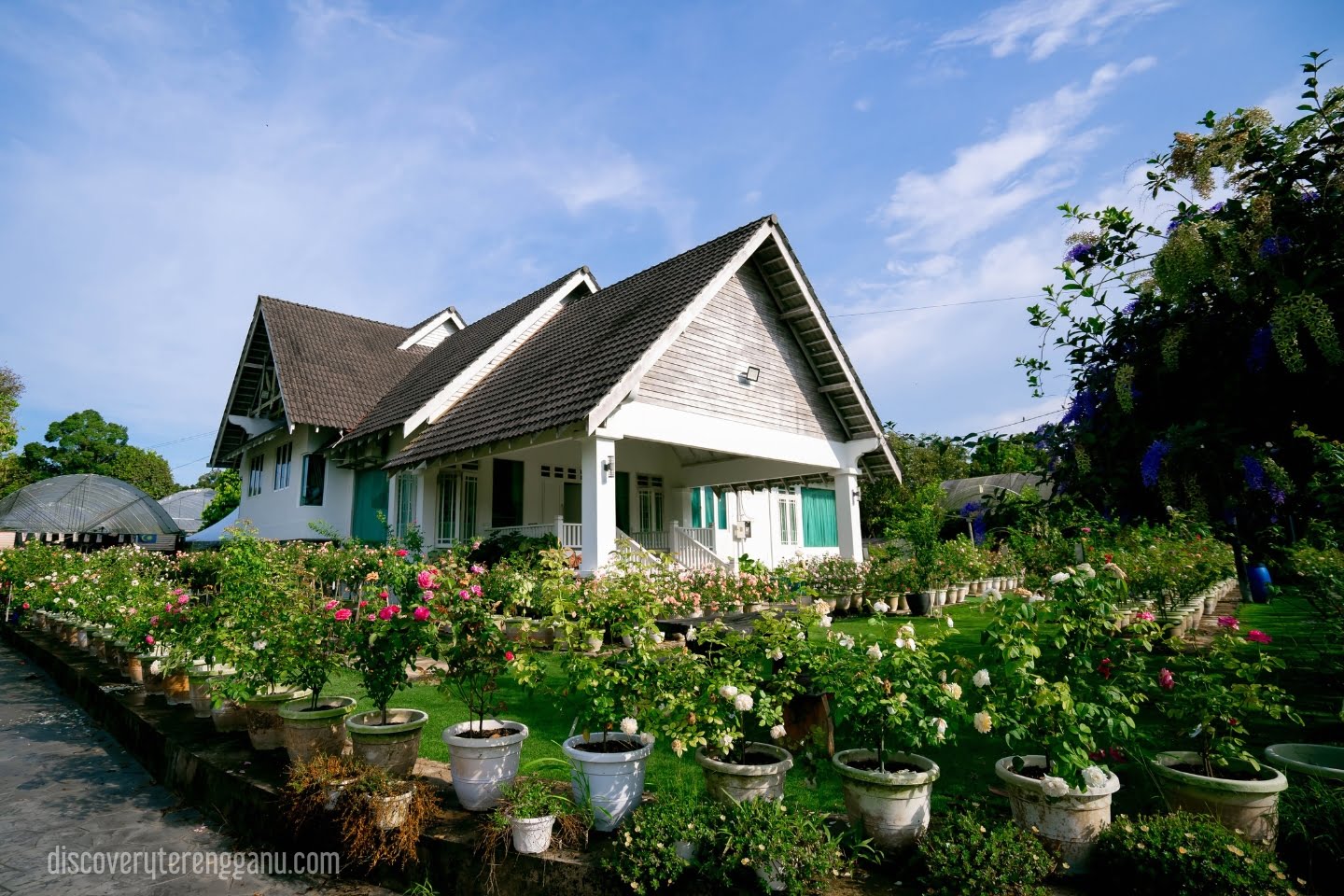 Zety Roses Garden & Farm