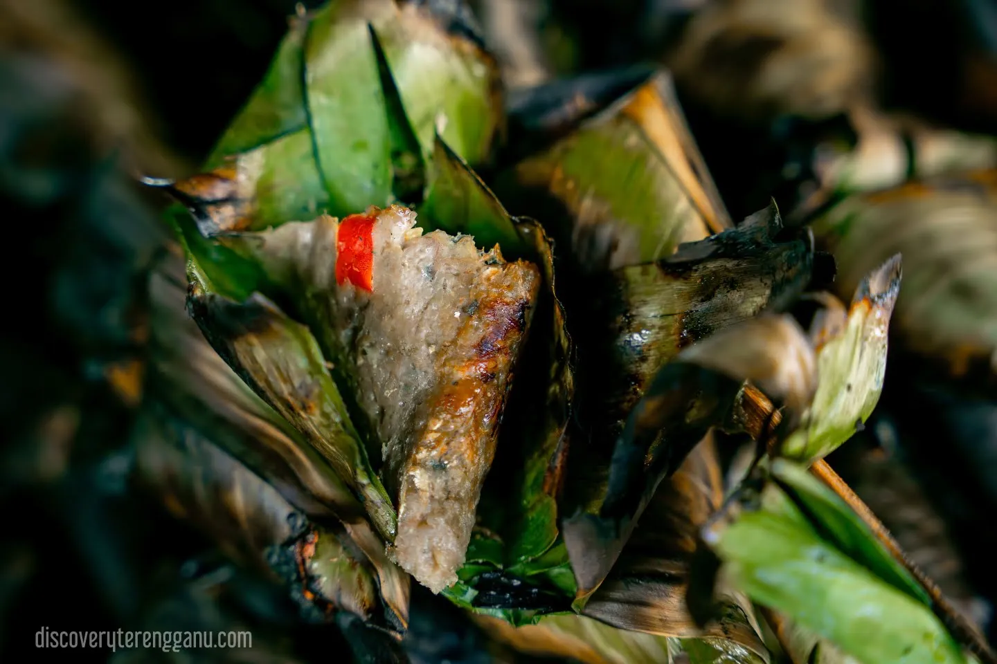 Satar Ikan Terengganu 20111308