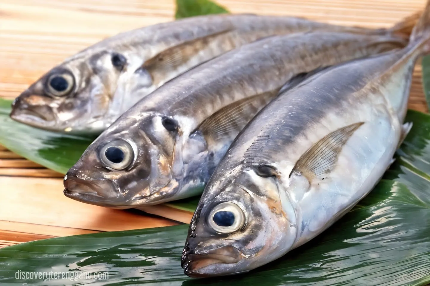 Satar Ikan 20111337