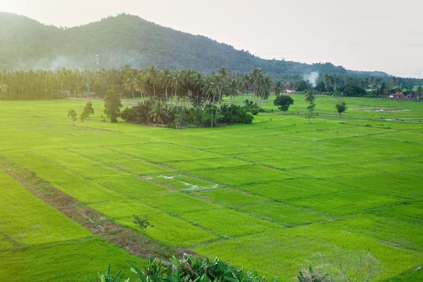 Kampung Padang Maras