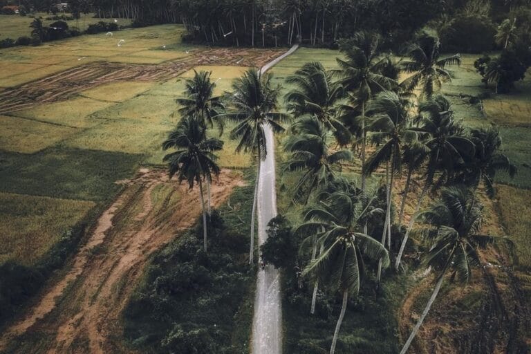 Kampung Padang Maras