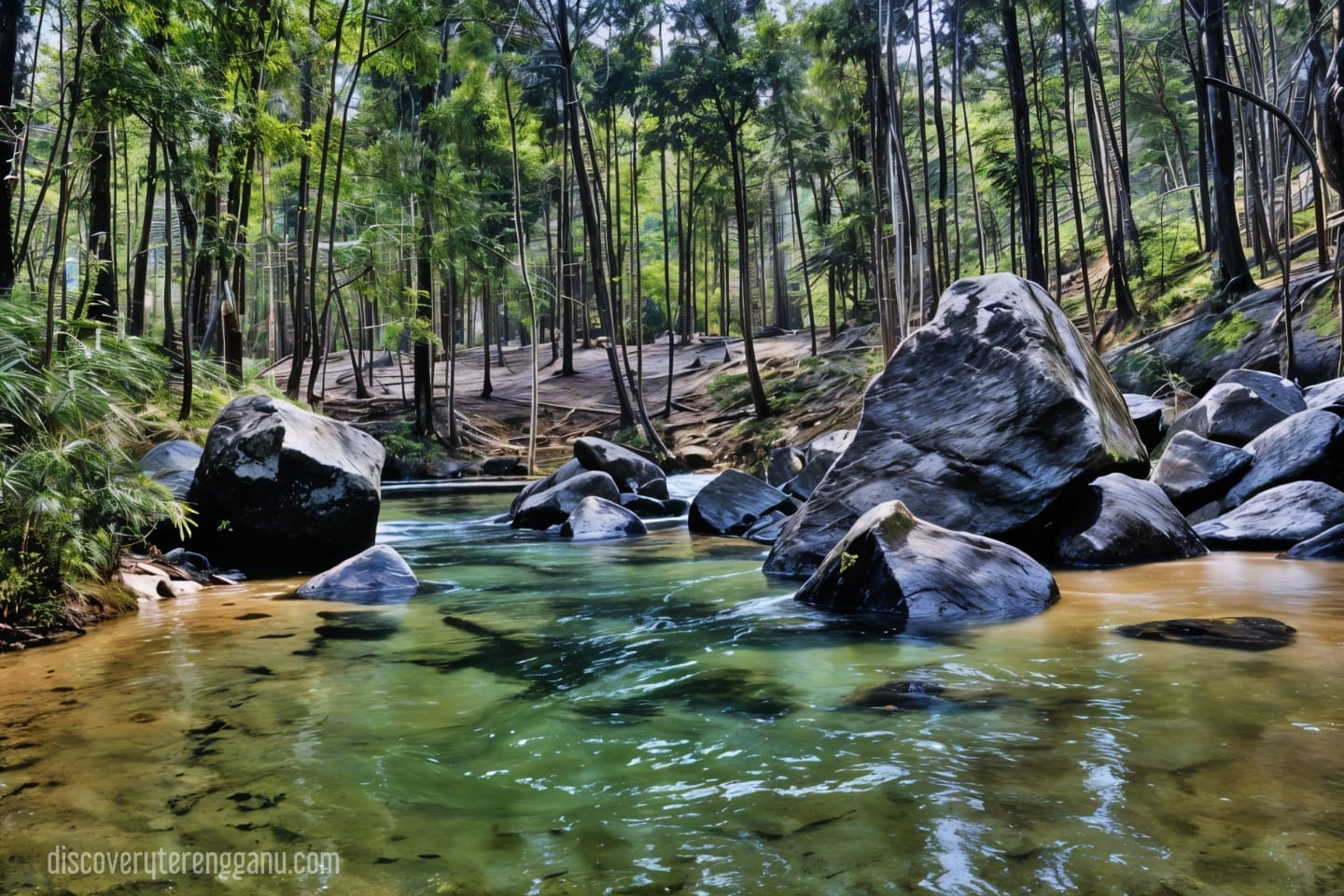 Taman Eko-Rimba Lata Belatan