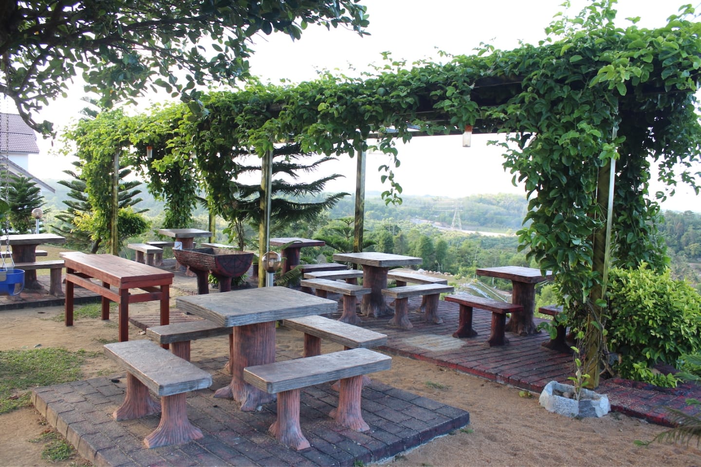 Pine Hill's Garden
