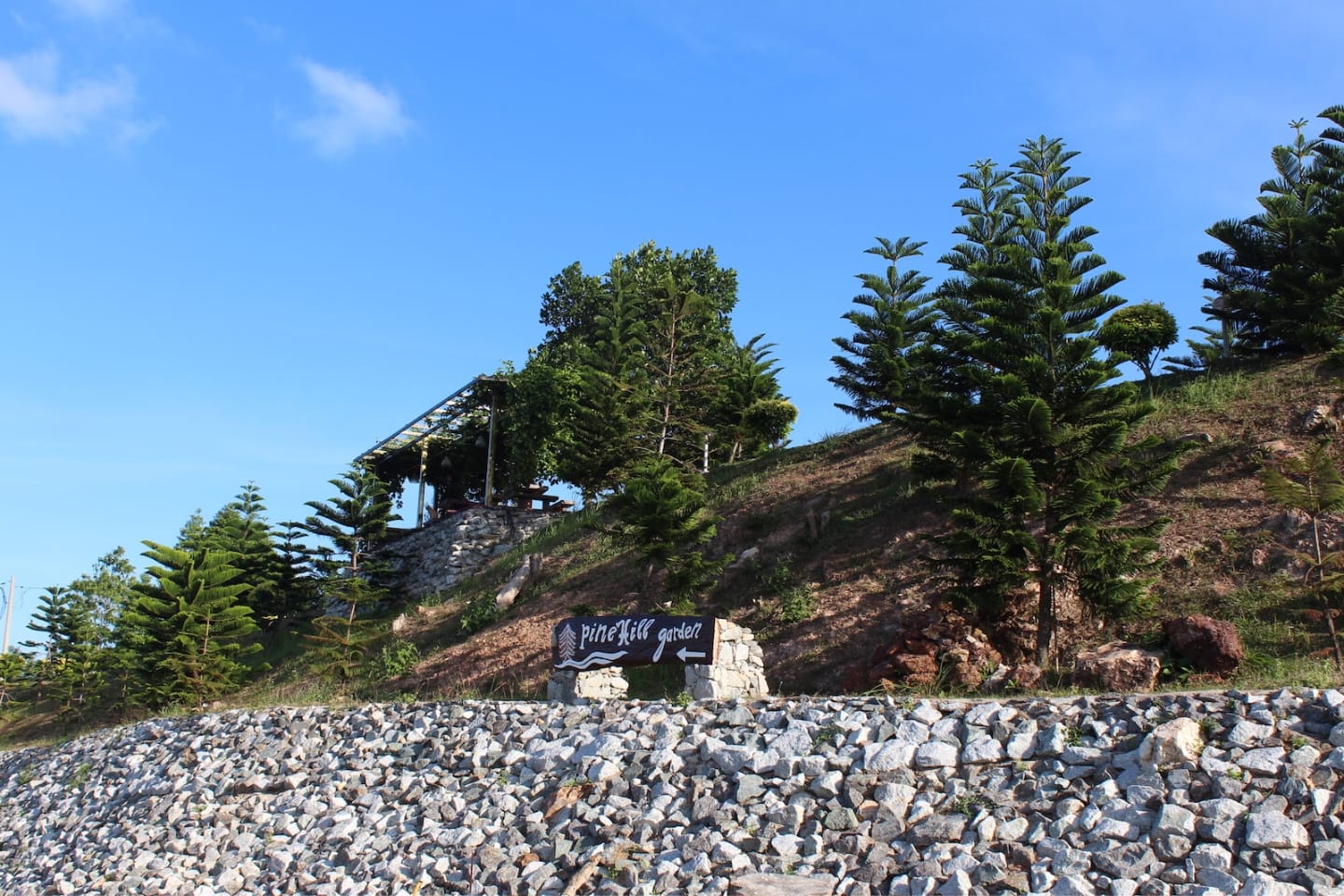 Pine Hill's Garden