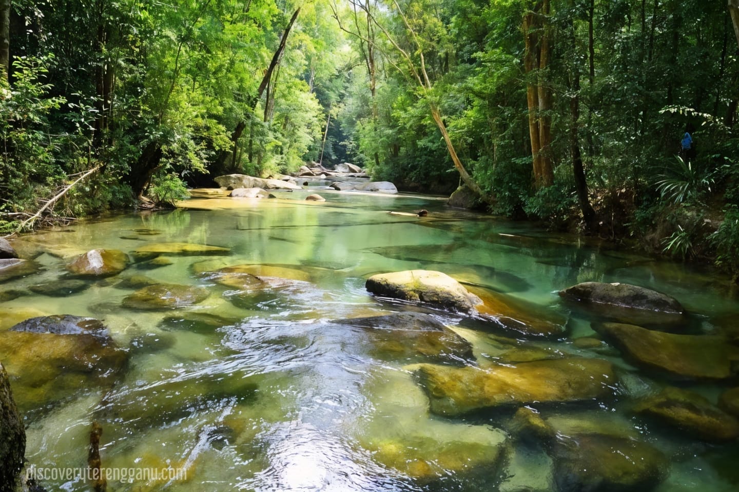 Taman Eko-Rimba Lata Belatan