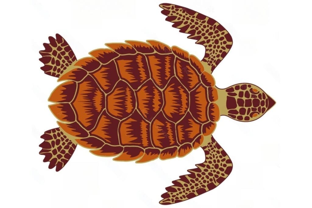 Hawksbill Turtle