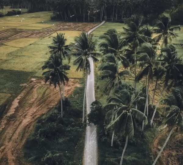 Kampung-Padang-Maras