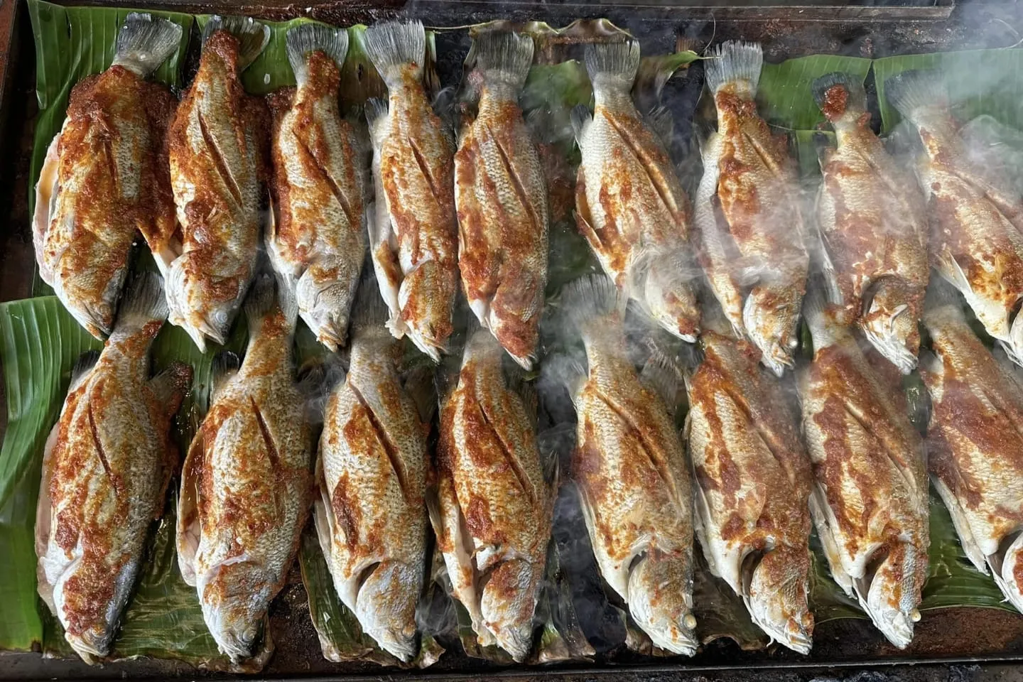 Restoran Singgang Budu