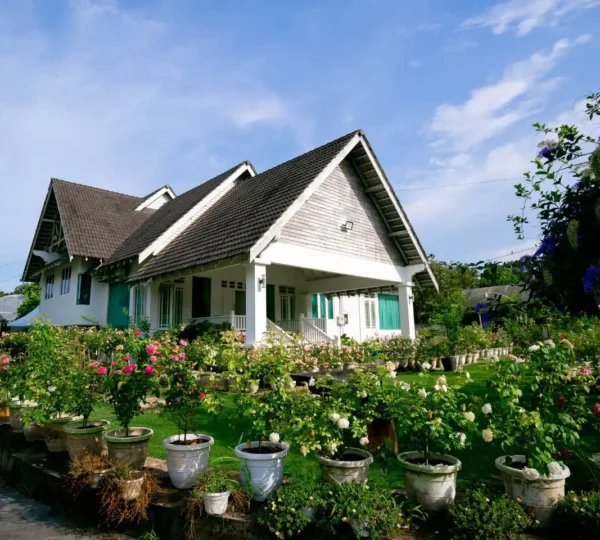 Zety Roses and Garden