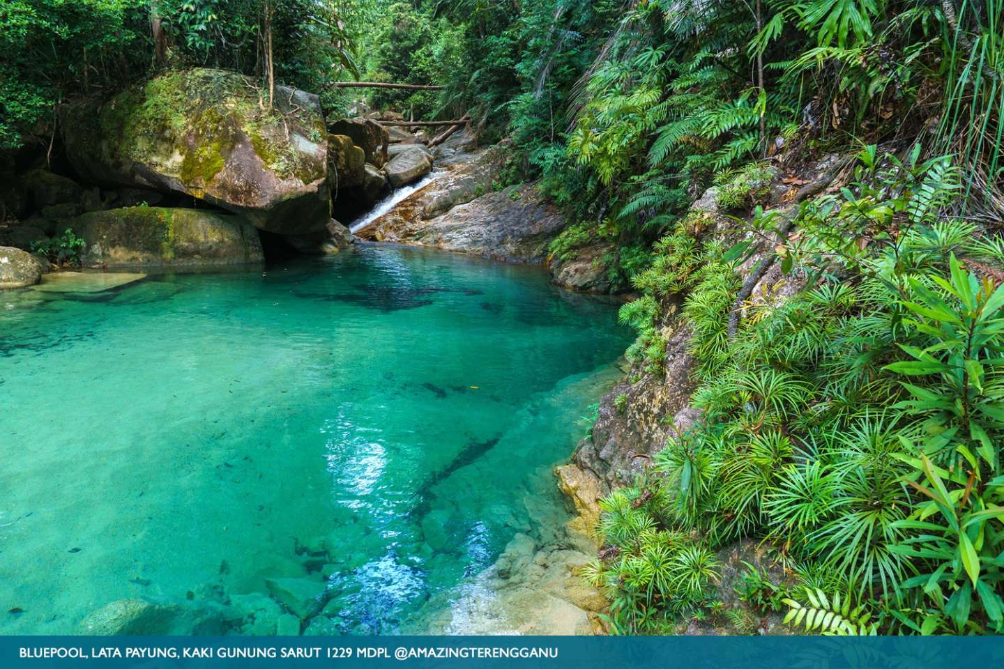 Gunung Sarut Bluepool