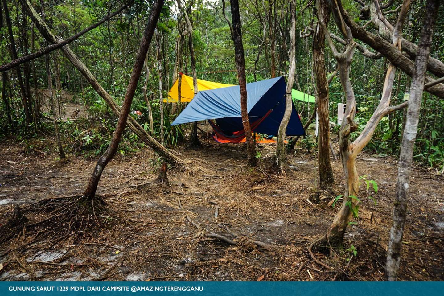Gunung Sarut Setiu