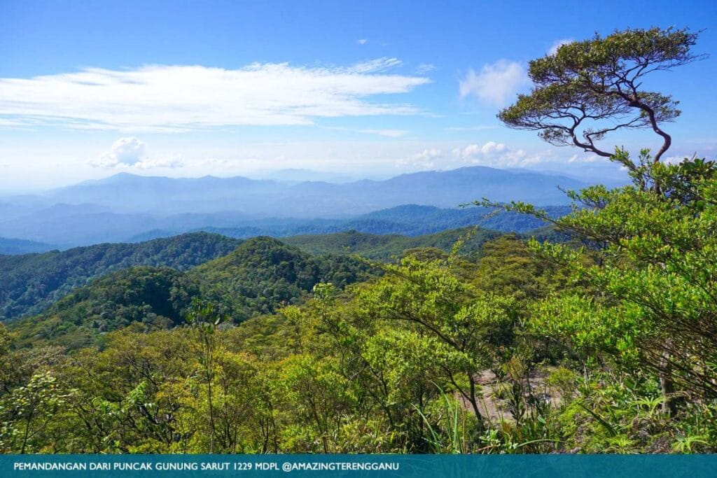 Gunung Sarut Pemandangan