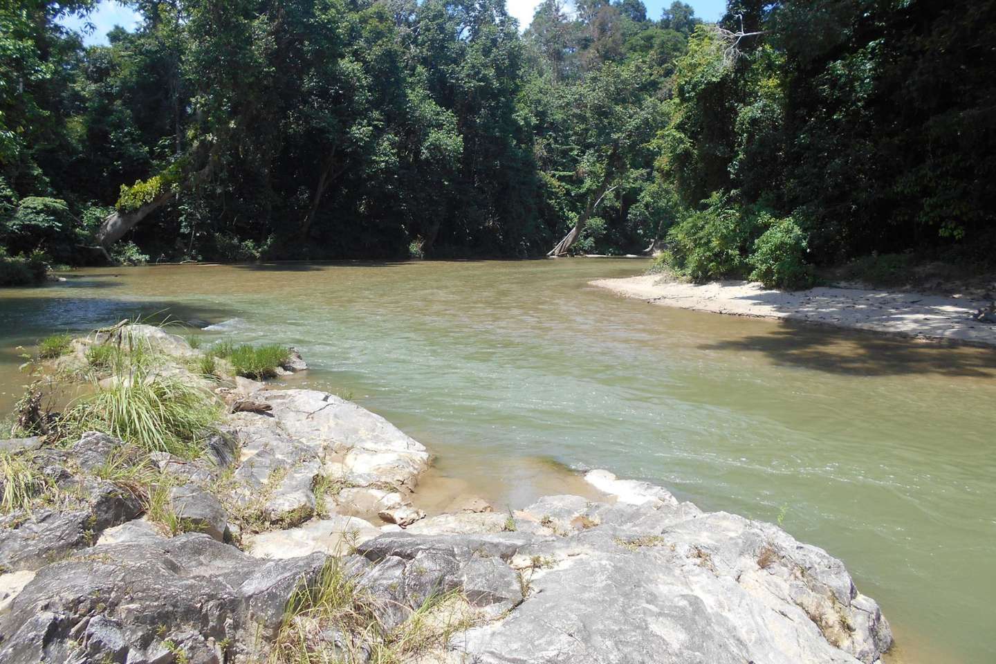 Hutan Lipur Bumbung Raja