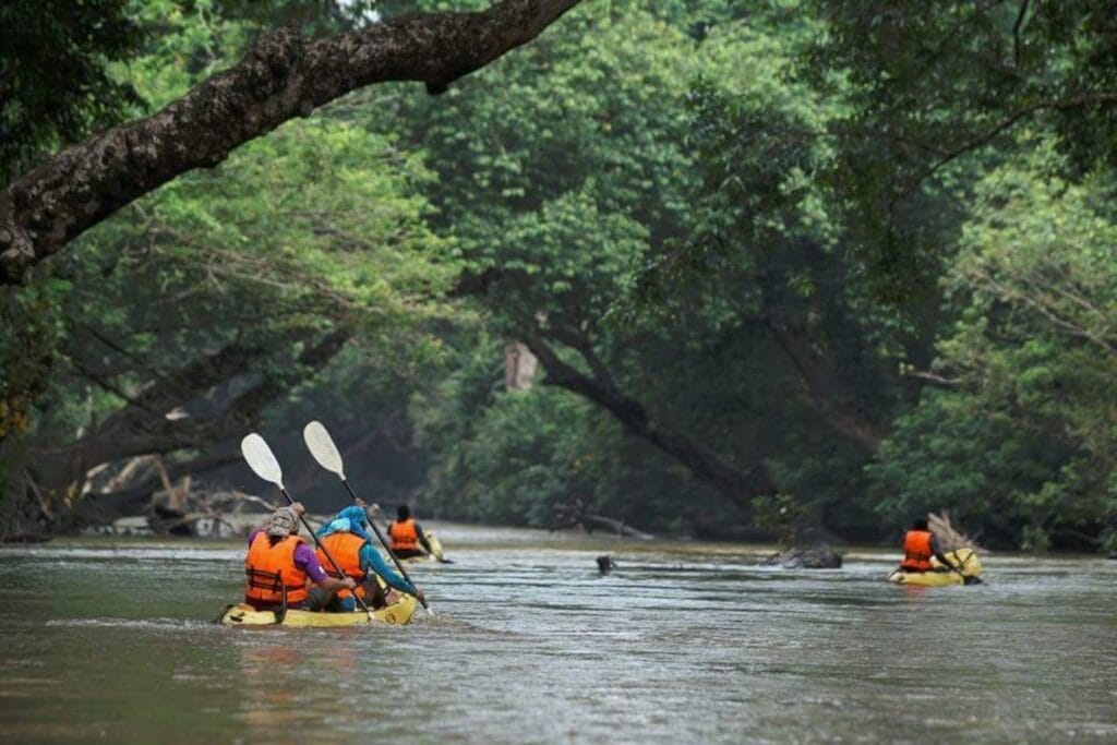 Menelusuri Sungai Dengan Kayak