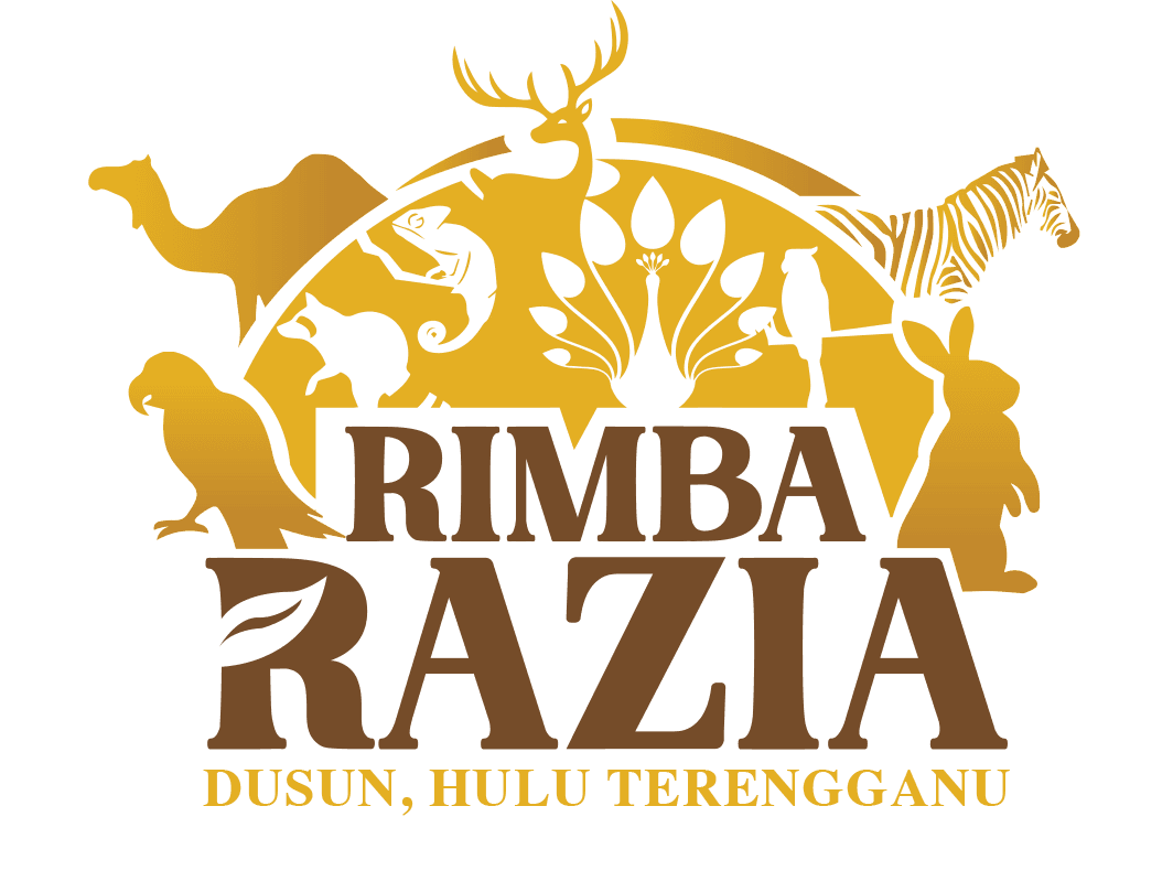 Rimba Razia » Discovery Terengganu