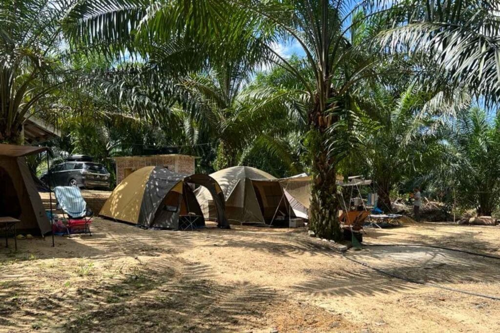 Setiu Adventure Park Camping