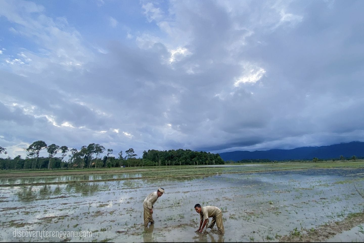 Kampung Kayu Kelat