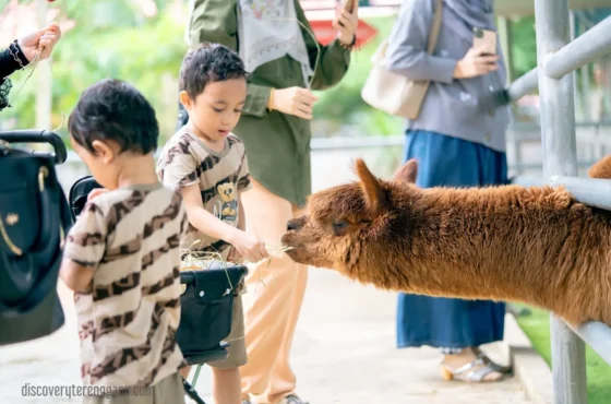 Jom Ke Rimba Razia! Petting Zoo Menarik di Terengganu