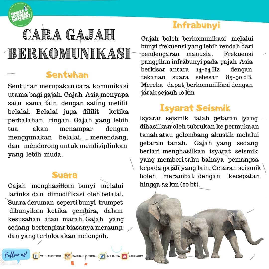 Yayasan Hijau Malaysia (2)