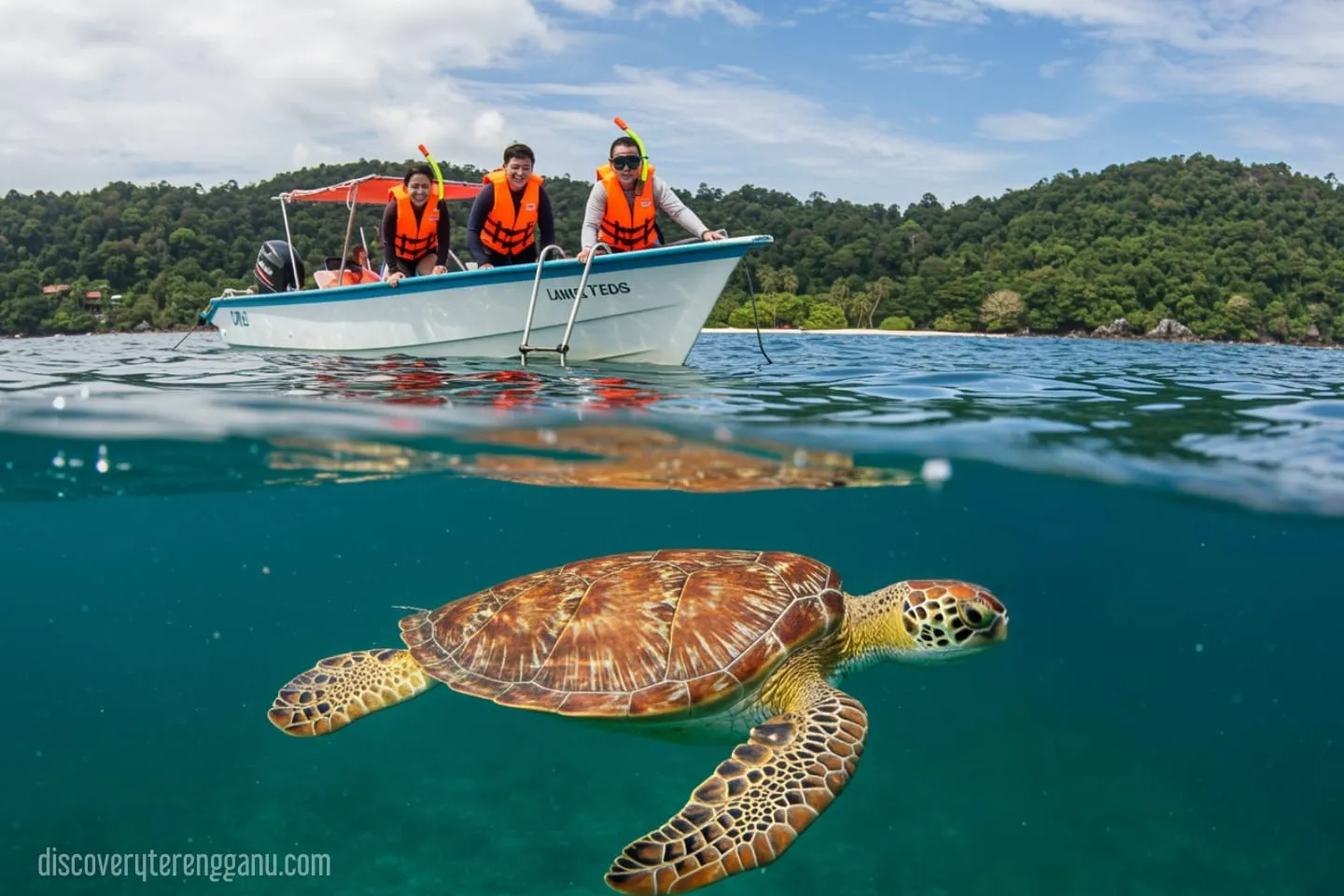 6. Pulau Lang Tengah (Lang Tengah Turtle Watch)