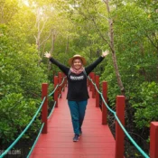 5 Tarikan Alam Semula Jadi Utama di Setiu Wetlands
