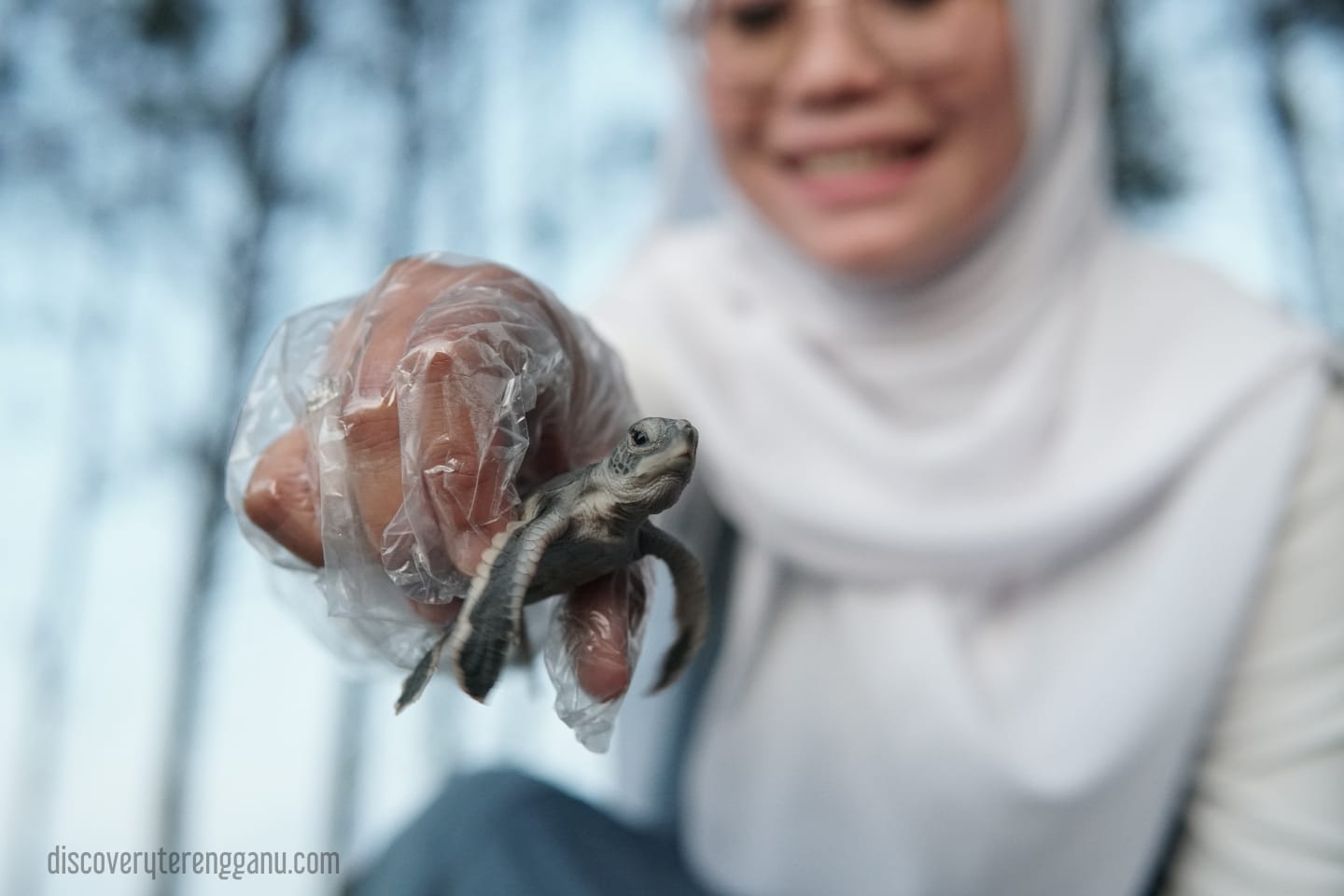 Pelepasan Anak Penyu