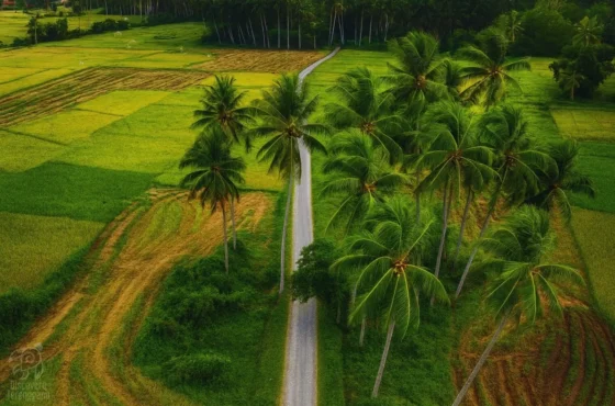 Kampung Padang Maras, tempat menarik di Kuala Nerus