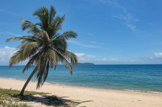 Pantai Sauh, tempat menarik di Kuala Nerus