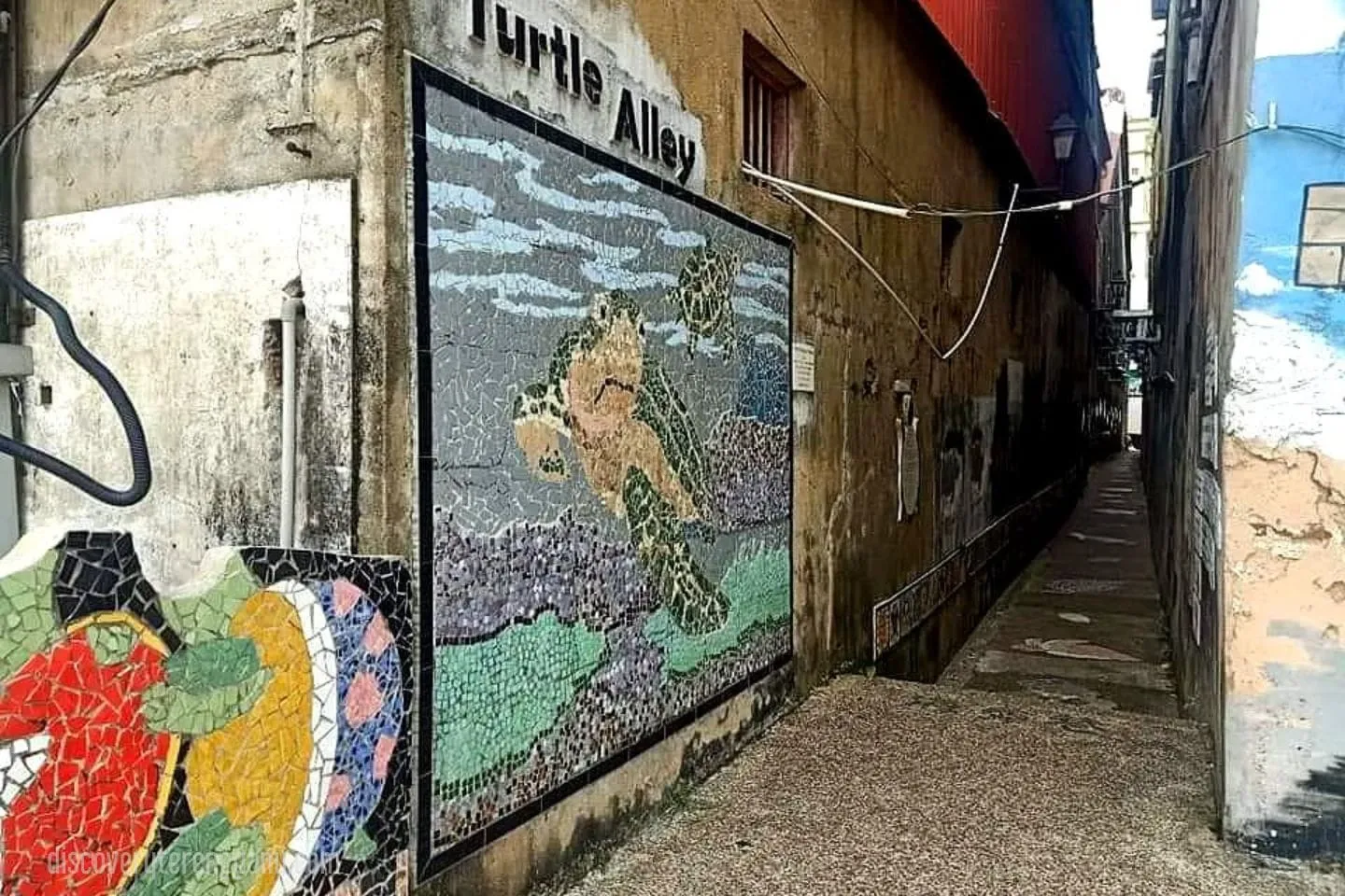 3. Turtle Alley