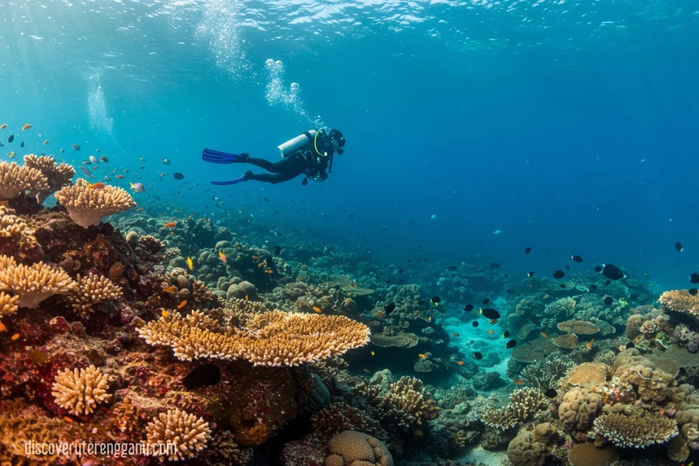 5. Pulau Yu Besar & Pulau Yu Kecil