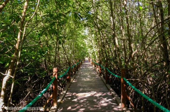 Setiu Wetlands & Pantai Penarik : 2H1M Nature & Seafood Escape