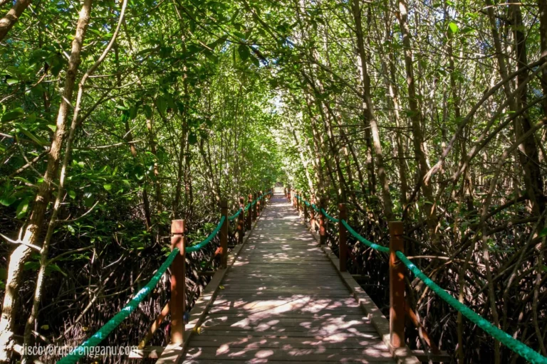 Setiu Wetlands & Pantai Penarik : 2H1M Nature & Seafood Escape