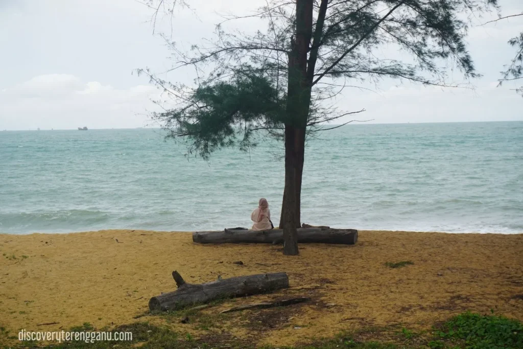 Kawasan Pantai Teluk Mak Nik